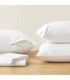 Proteggi Cuscino con Cerniera Cotone-Poli | Serie Professionale Hotel Bianca