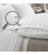 Protège-Oreiller à Fermeture Percale Coton-Polyester | Hôtel - Blanc
