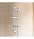 Adjustable Shower Bar with Shelf BL-1001S | Stainless Steel | Vertical Adjustment | Inclined Shower Head Support